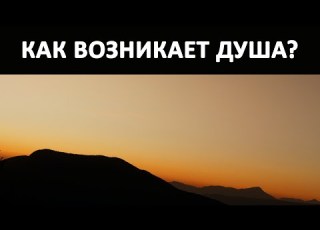  Как возникает душа сущность человека Николай Левашов