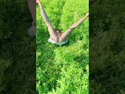 Always Have Plan B Saqlainakbarthabal