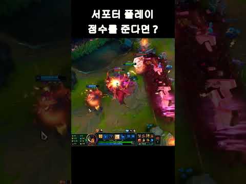 서포터 플레이 점수를 준다면