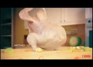 دجاجة راها تشطح اضحك