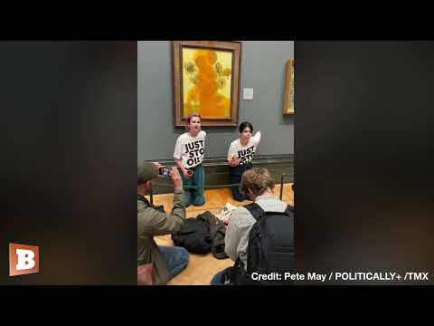 Just Stop Oil Activists Defile Van Gogh S Sunflowers With Canned Soup