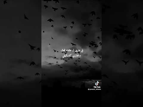 كنبكي بدموع سبابي Poto مشكيلي