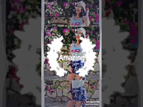 مهرجان يا مزة يا قطة