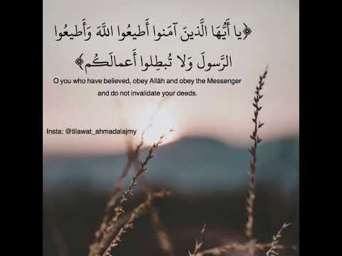 يا أيها الذين آمنوا أطيعوا الله وأطيعوا الرسول ولا تبطلوا أعمالكم أحمد العجمي Ahmad Alajmy يا أيها الذين آمنوا أطيعوا الله وأطيعوا الرسول ولا تبطلوا أعمالكم أحمد العجمي Ahmad Alajmy