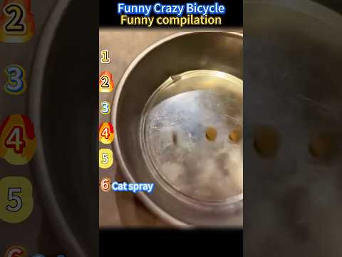 Funny Dogs Cats Wich One Is Your Favorite