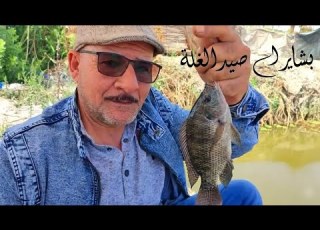 الغلة اشتغلت ودي بشايرها