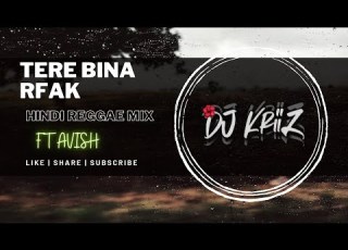 Tere Bina Rahat Fateh Ali Khan Hindi Reggae Remix Dj KriiZ L Avish 679