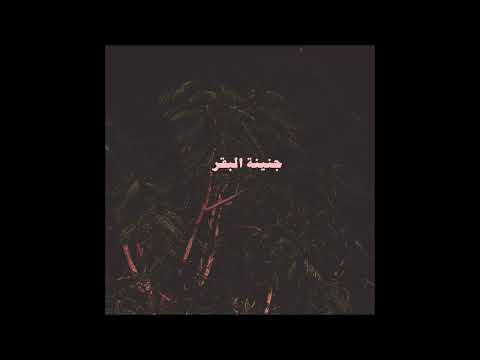 La Togad Eshara لا توجد اشارة Prod Muhammed El Alfy