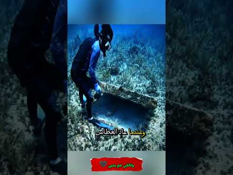 ما رآه الغواص في المحيط يحبس الأنفاس