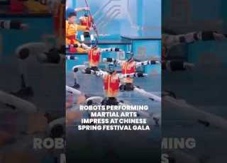 Martial Arts Robots Impress At Chinese Spring Festival Gala 2026