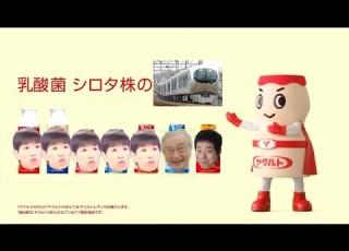 ヤクルト おせちんこ