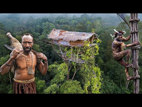 القبيلة المذهلة التي تعيش بين الأشجار في أعالي الغابات المطيرة في بابوا القبيلة المذهلة التي تعيش بين الأشجار في أعالي الغابات المطيرة في بابوا