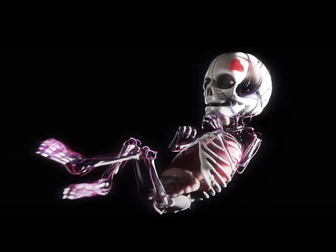 Vladimir Cauchemar Anthropology Official Music Video