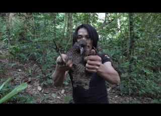 Strange Bird Caught In A Trap How To Tame Wild Birds Wilderness Alone Episode 37