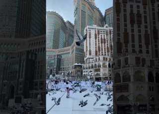 هي جنة طابت وطاب نعيمها