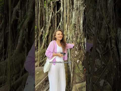 Highly Recommend Doing The Siquijor Loop Siquijor Philippines Creativecontentcreator