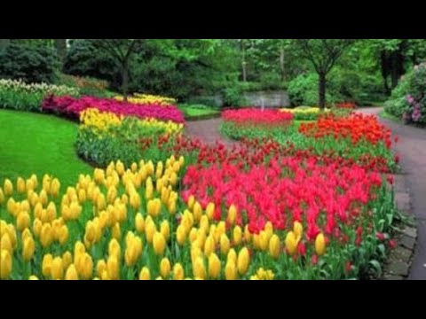 مظاهر فصل الربيع