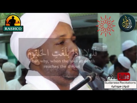 تلاوة ممتعة جدا للشيخ الزين سورة الواقعة من أجمل التلاوات تلاوة ممتعة جدا للشيخ الزين سورة الواقعة من أجمل التلاوات