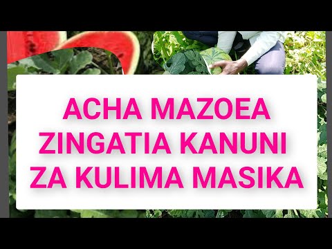 LIMA MASIKA UPATE PESA NYINGI KWA KUTUMIA KANUNI TANO