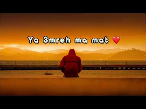Cheb Akil Histore 9dima Lyrics Status Whatsapp