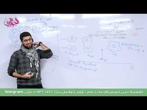 13 المحاضرة الأولى في التكاثر ٢ صور التكاثر اللاجنسي 13 المحاضرة الأولى في التكاثر ٢ صور التكاثر اللاجنسي