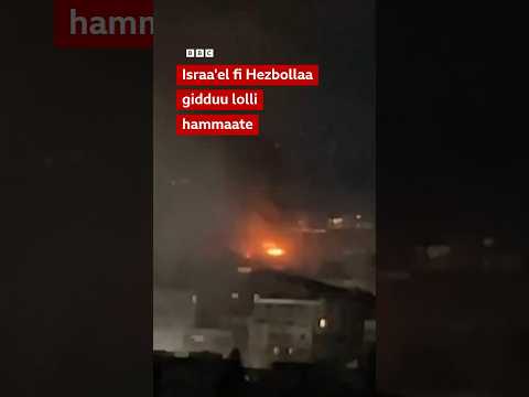 Israa El Fi Hezbollaa Gidduu Lolli Hammaate BBC News Afaan Oromoo Israa El Fi Hezbollaa Gidduu Lolli Hammaate BBC News Afaan Oromoo