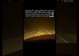 الفرق بين الضوء الأصفر والأبيض في أجواء الضباب