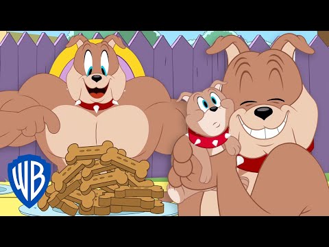 Tom Jerry Best Of Spike And Tyke Cartoon Compilation Wbkids
