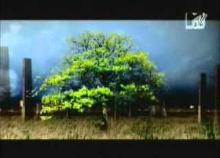 William Orbit Barber S Adagio For Strings Ferry Corsten Remix