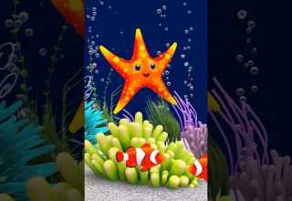Calming Undersea Animation Soothing Fishes Baby Sleep Music