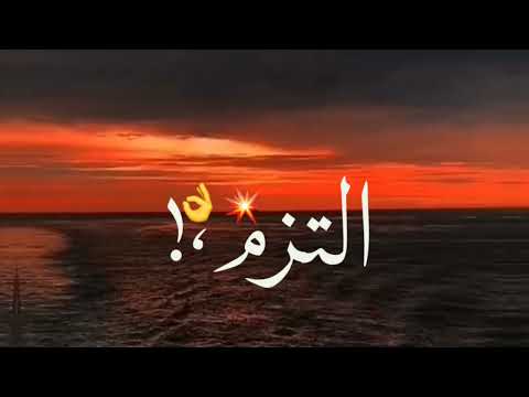 حلات وتس جزم رشيت عليكم رزم مهرجان هلا انا جيت تريح يلاه حمو طيخا مودي أمين جامده