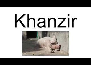 Khanzir