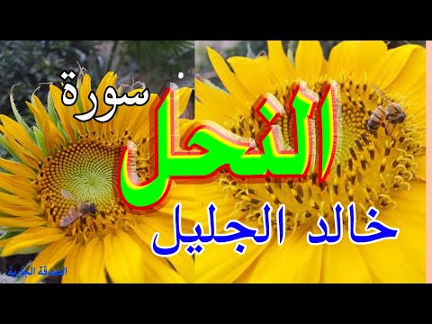 سورة النحل خالد الجليل صوت تقشعر له الابدان سورة النحل خالد الجليل صوت تقشعر له الابدان