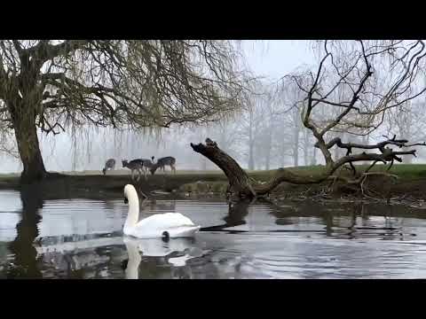 أدلعك دلع ما يخطر على البااال