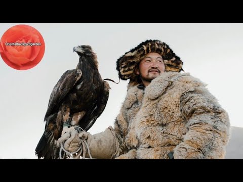 Silent Moon Jia Peng Fang Erhu Cover By Eliott Tordo Nr 2 Music Video Silent Moon