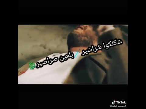 شكلك شراشير بالعين صراصير