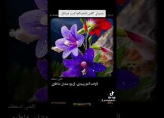 كلمني اسمعلك مادلين مطر