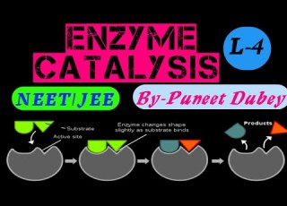  Enzyme Catalysis L 4 Surface Chemistry ByPUNEETsir NEET JEE AIIMS ClassXII JIPMER OTHERS
