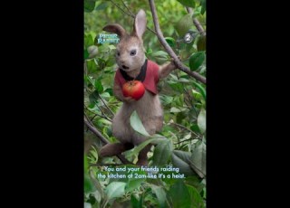  تابعوا فيلم PETER RABBIT يعرض في الــ 7 مساء بتوقيت السعودية ليلة 26 مارس على Mbc2