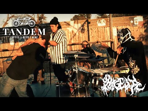 Shigella At Tandem San Antonio Nashchella