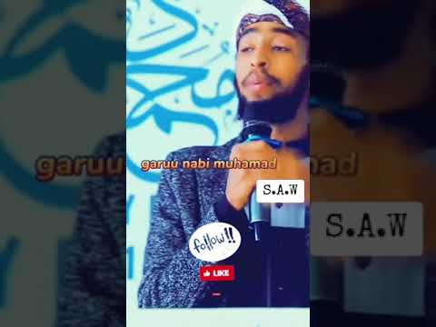 Ustaaz Ibsaa Hasan Gorsa Bareedduu Irraa Fudhadhaa