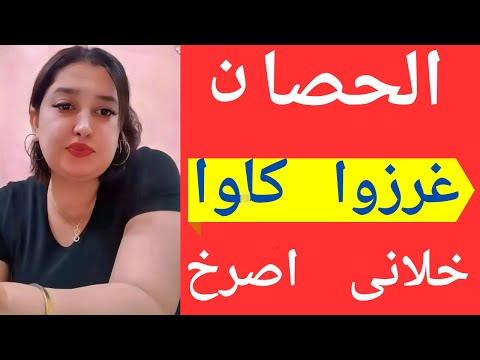 Working With The Horse Was The Best The Most Beautiful Moments Of Life