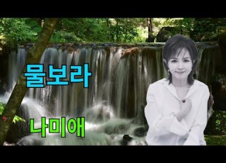  나미애 물보라 최진희