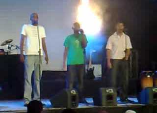 Black Theama HALY HALA