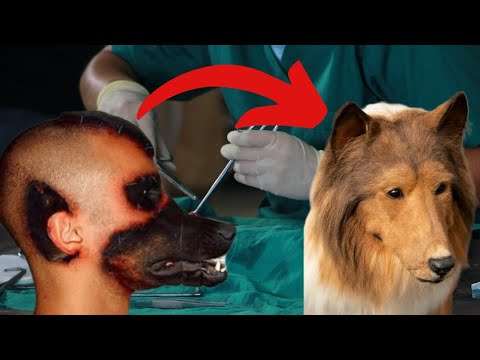 HUYU SIO MBWA BALI NI BINADAMU Trending