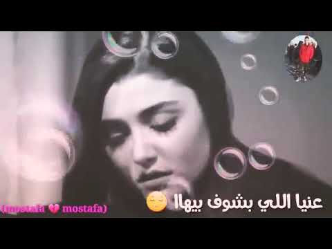 روح قلبي حبيبي مصطفى كامل وحياه روح قلبي