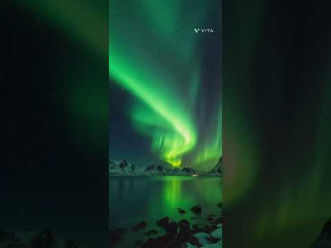 Catwoman Instrumental By Leokarlo Calm Songs Music