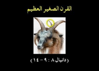  القرن الصغير العظيم دانيال ٨ ٩ ١٤