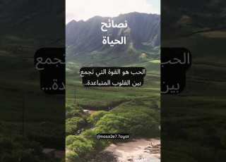 الحب يجمع القلوب