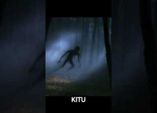 FAHAMU SIRI 3 KUHUSU MSITU AMAZON Isikupite Hii Facts History Viral AyubGiant Tanzania